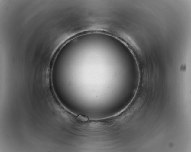 X0000102381268200808011528