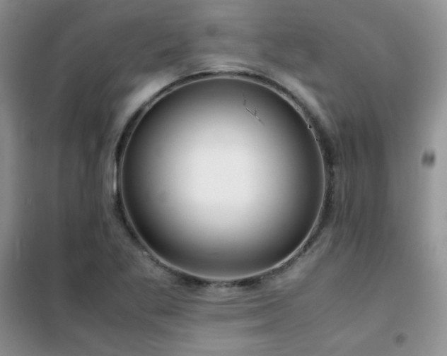 X0000102381269200808011528