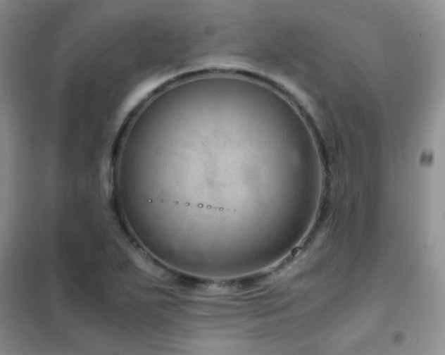 X0000102381271200808011528