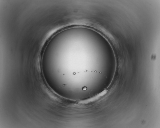 X0000102381272200808011528