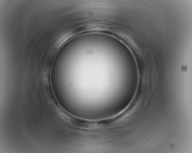 X0000102381273200808011528