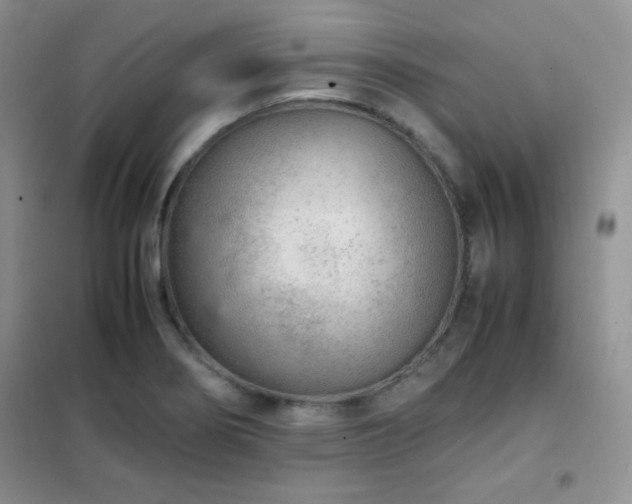X0000102381274200808011528