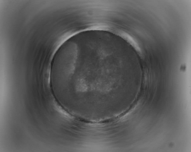 X0000102381276200808011528