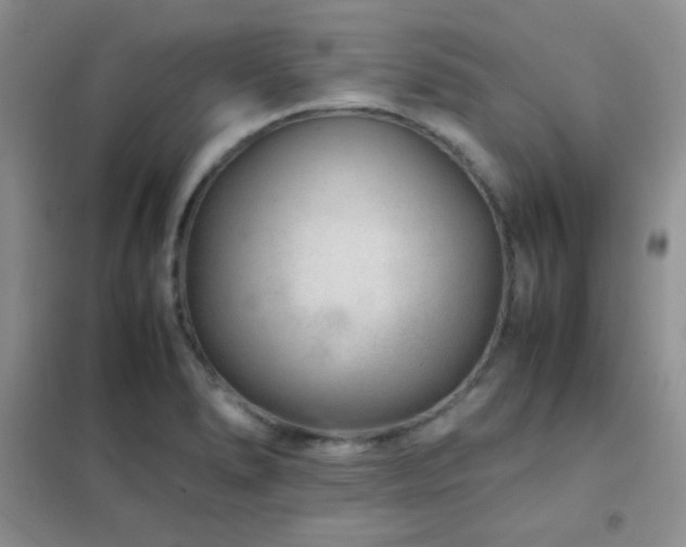 X0000102381278200808011528