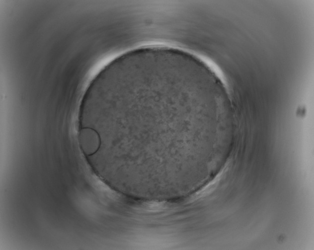 X0000102381279200808011528