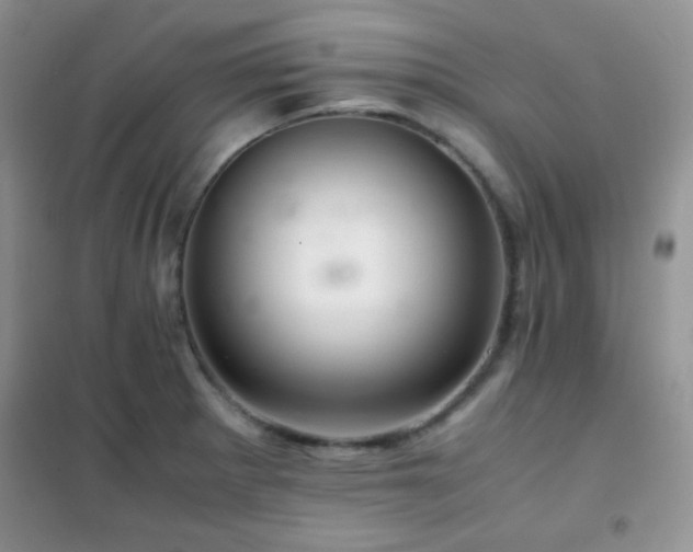 X0000102381281200808011528