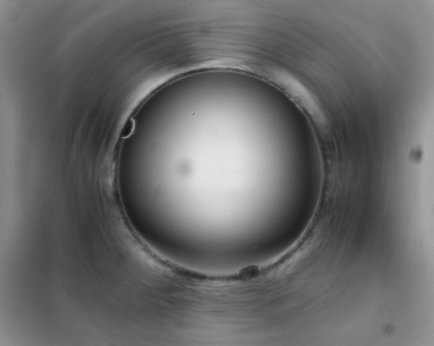 X0000102381284200808011528