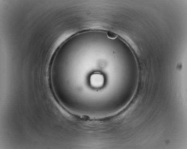 X0000102381285200808011528