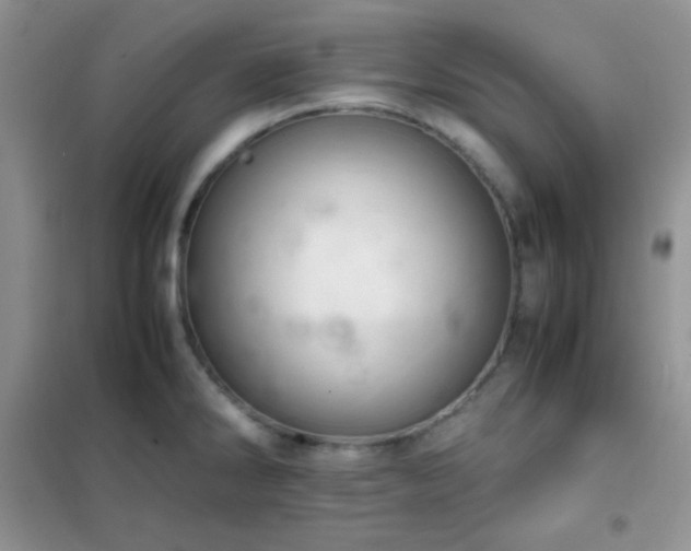 X0000102381286200808011528
