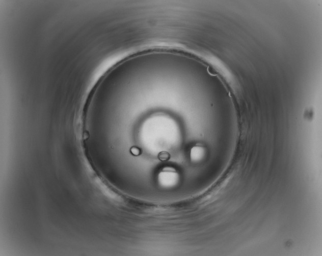 X0000102381287200808011528