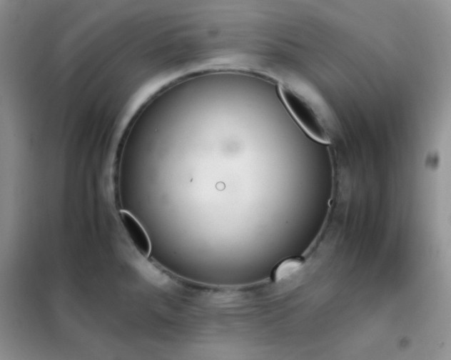 X0000102381288200808011528