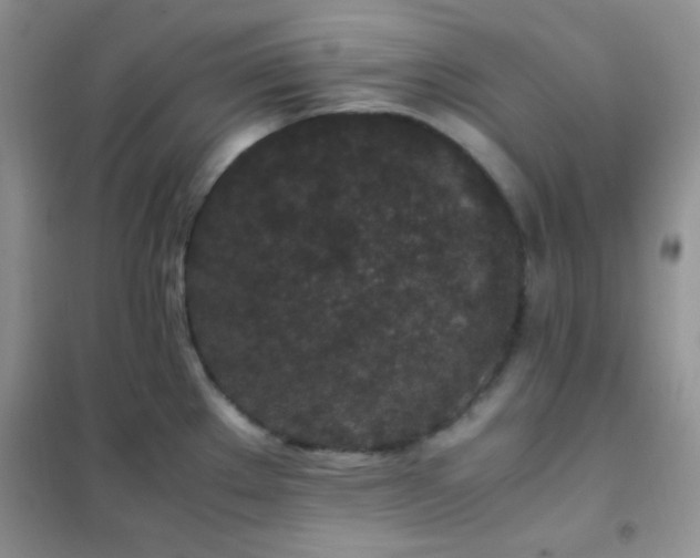 X0000102381289200808011528