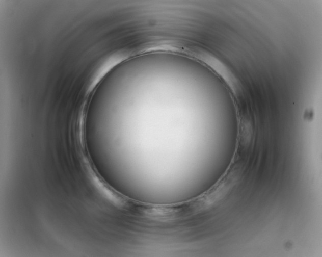 X0000102381290200808011528
