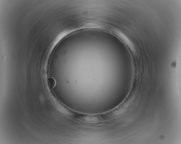 X0000102381291200808011528