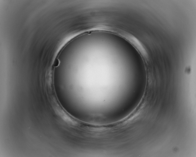 X0000102381292200808011528
