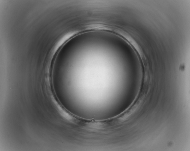 X0000102381293200808011528