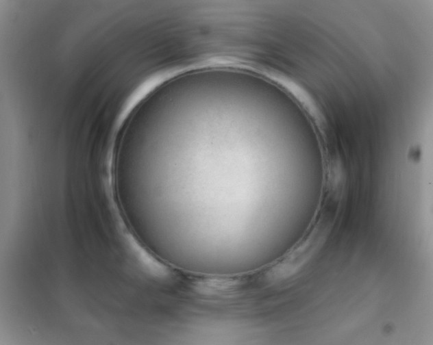X0000102381294200808011528