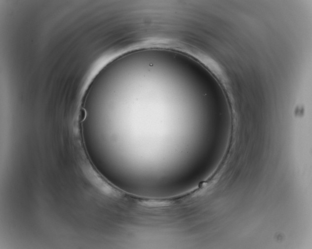 X0000102381296200808011528