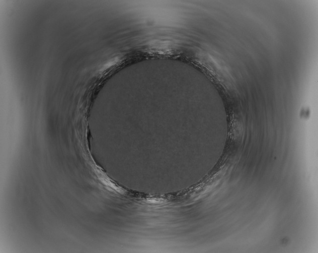 X0000102381297200808011527