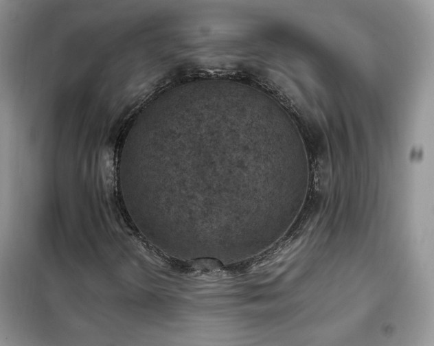 X0000102381298200808011527
