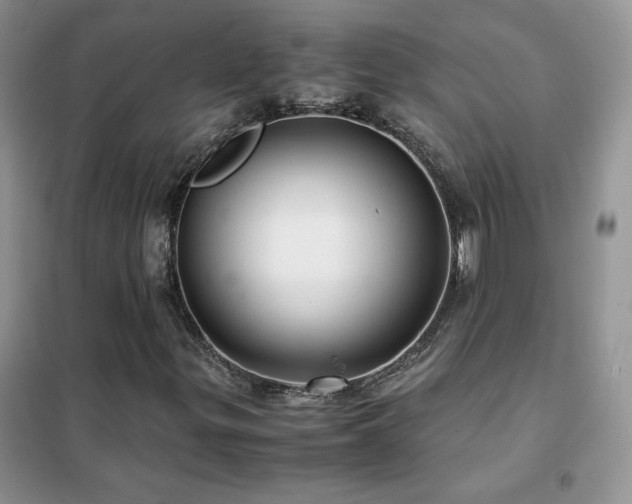 X0000102381299200808011527