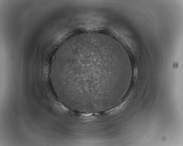 X0000102381300200808011527