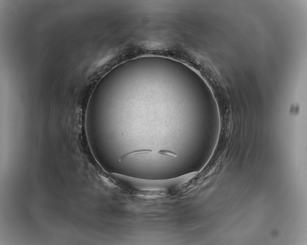 X0000102381301200808011527