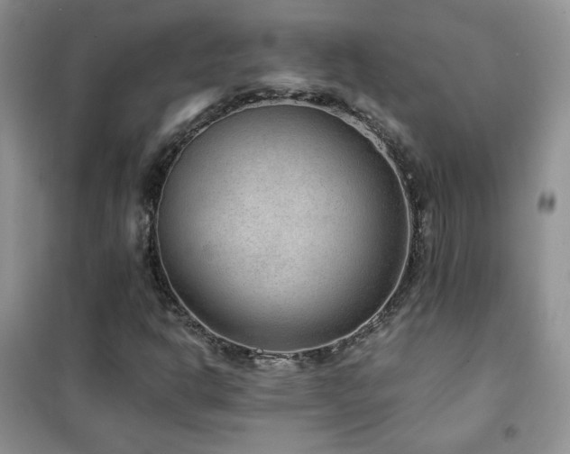 X0000102381302200808011527