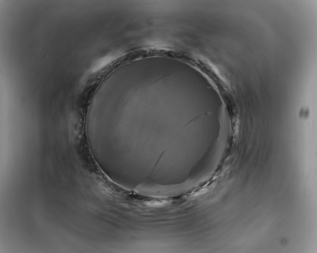 X0000102381303200808011527
