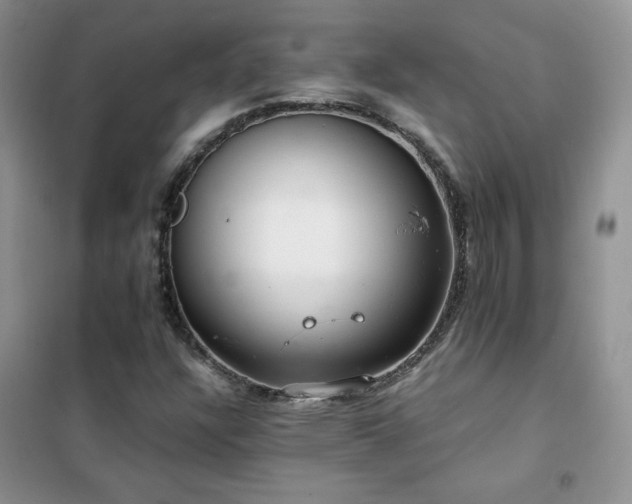 X0000102381304200808011527