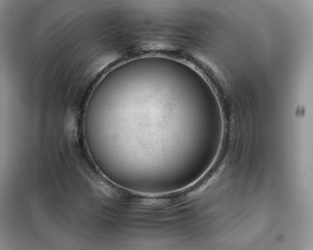 X0000102381305200808011527