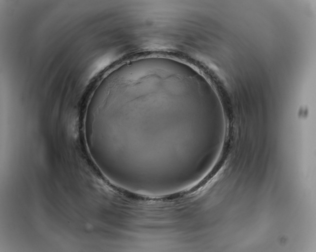 X0000102381306200808011527