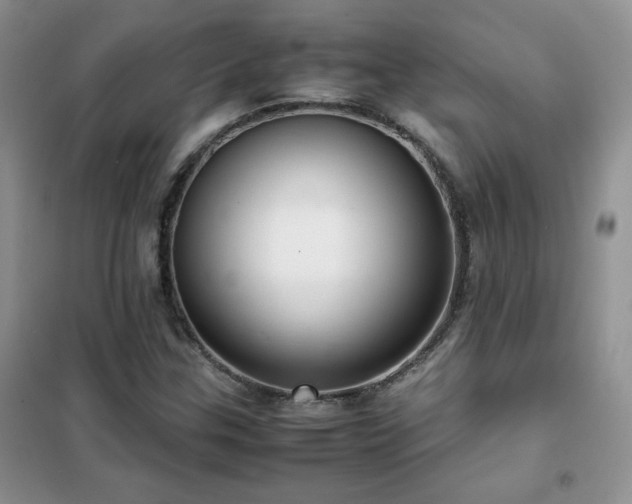 X0000102381307200808011527