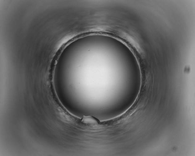 X0000102381308200808011527