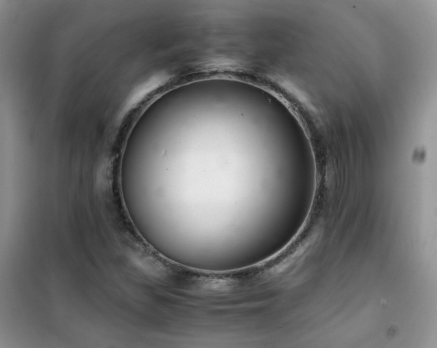 X0000102381309200808011527