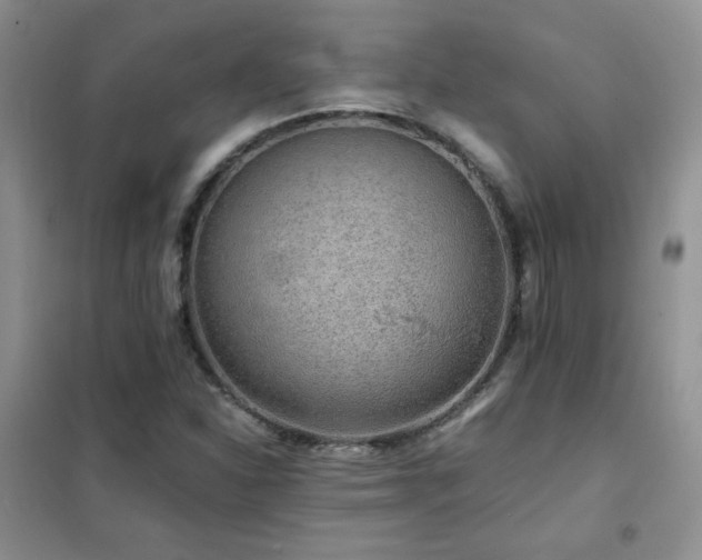 X0000102381310200808011527