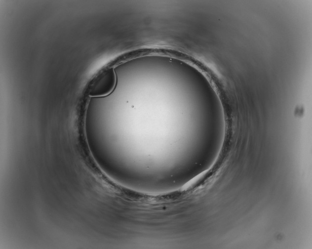 X0000102381311200808011527
