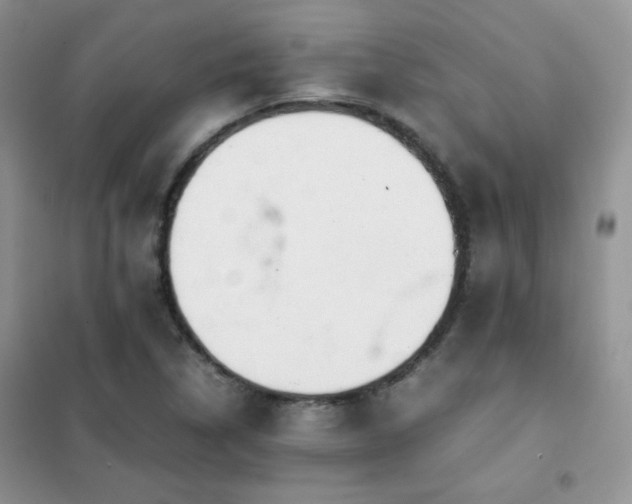 X0000102381314200808011527