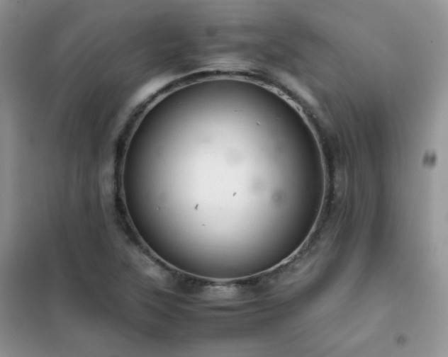 X0000102381315200808011527
