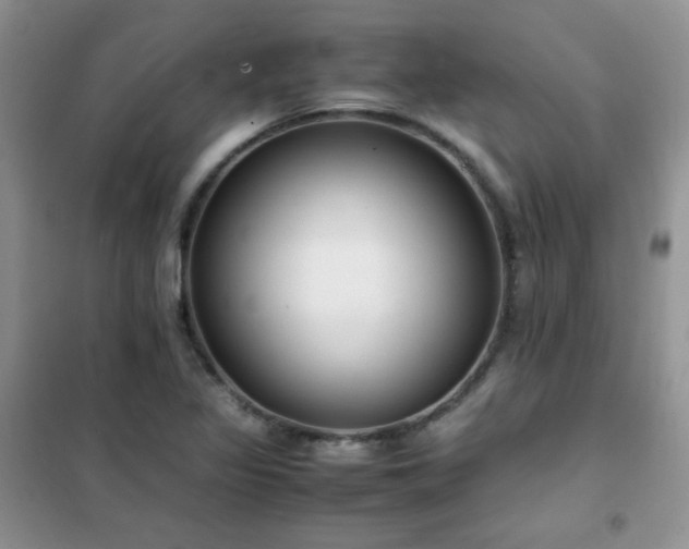 X0000102381317200808011527
