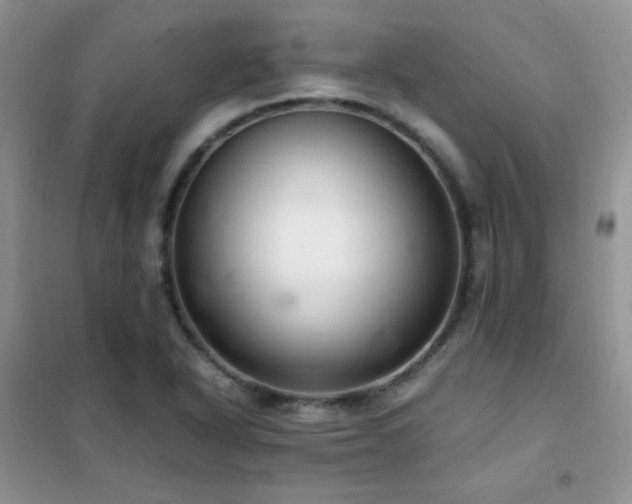 X0000102381318200808011527