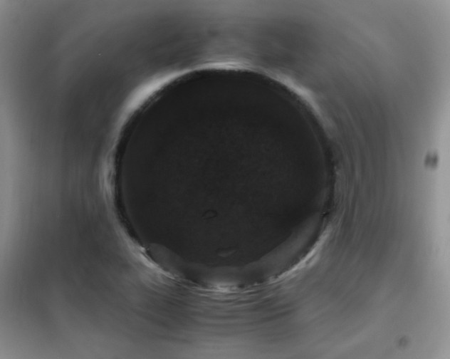 X0000102381319200808011527