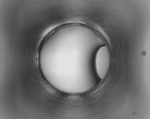 X0000102381320200808011527
