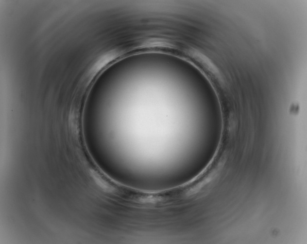 X0000102381321200808011527
