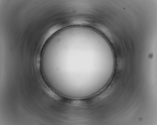 X0000102381322200808011527