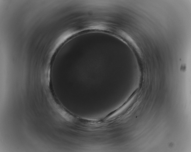 X0000102381323200808011527