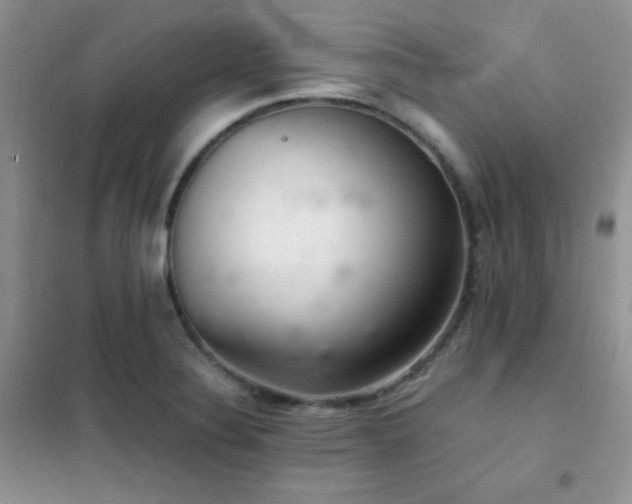 X0000102381324200808011527