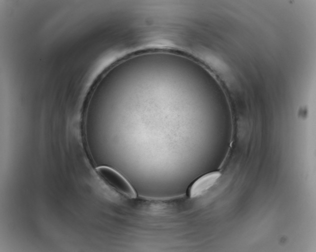 X0000102381326200808011528