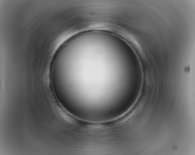 X0000102381328200808011528