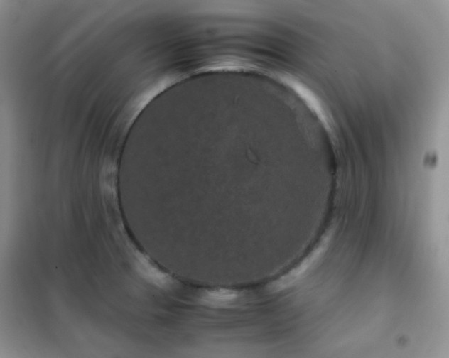 X0000102381329200808011528